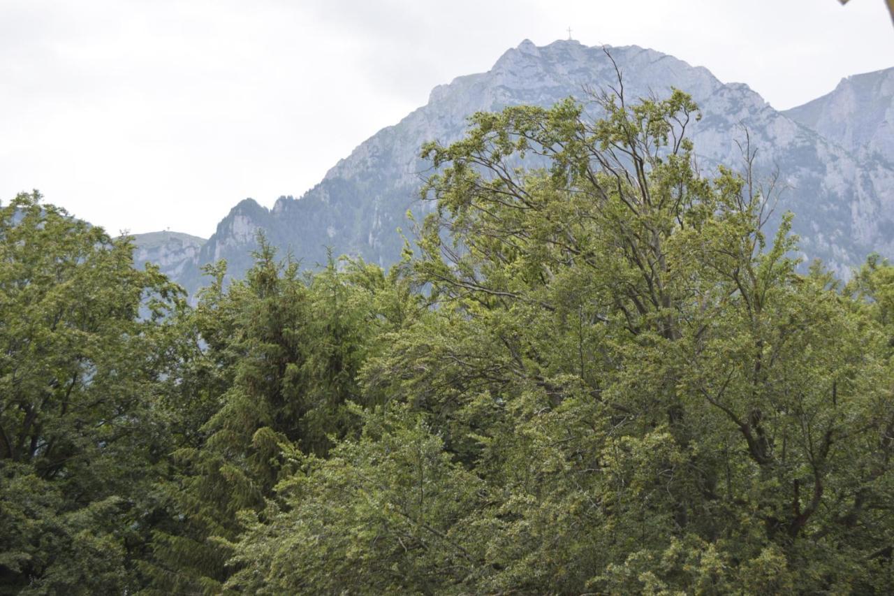 Pensiunea Clasic Buşteni Esterno foto
